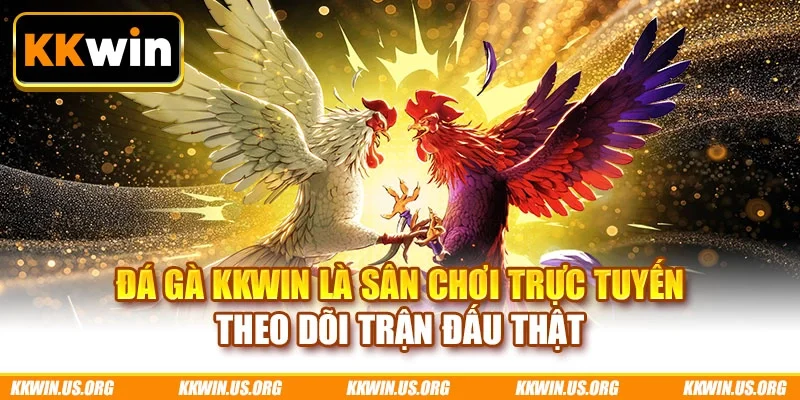 Đá gà KKWIN là sân chơi trực tuyến theo dõi trận đấu thật