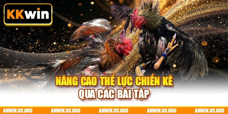 Nâng cao thể lực chiến kê qua các bài tập