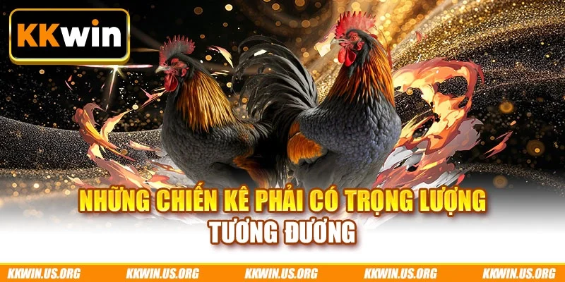 Những chiến kê phải có trọng lượng tương đương