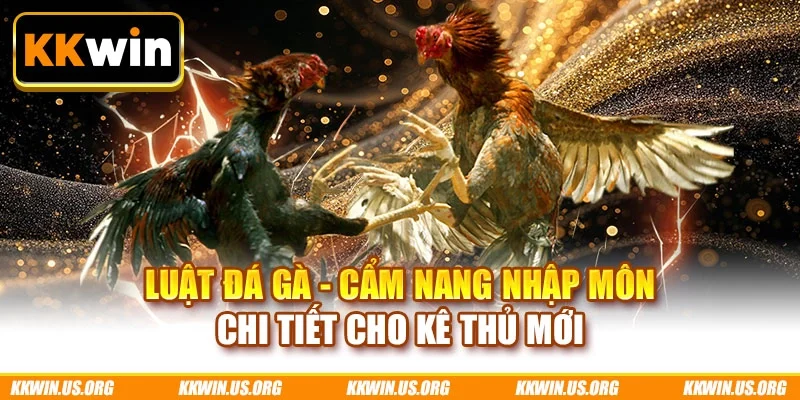 Luật đá gà